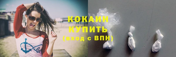 PSILOCYBIN Гусиноозёрск