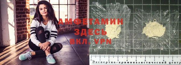ПСИЛОЦИБИНОВЫЕ ГРИБЫ Алексеевка