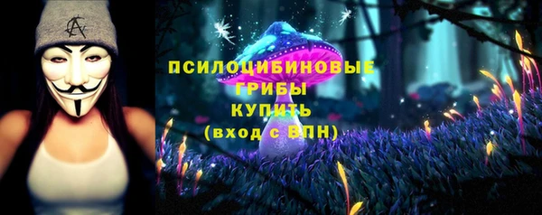 ПСИЛОЦИБИНОВЫЕ ГРИБЫ Алексеевка