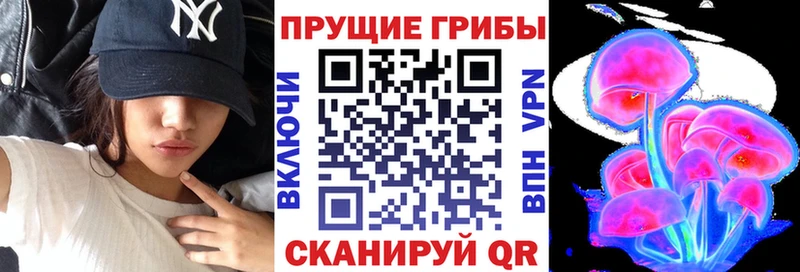 Псилоцибиновые грибы прущие грибы  Цимлянск 